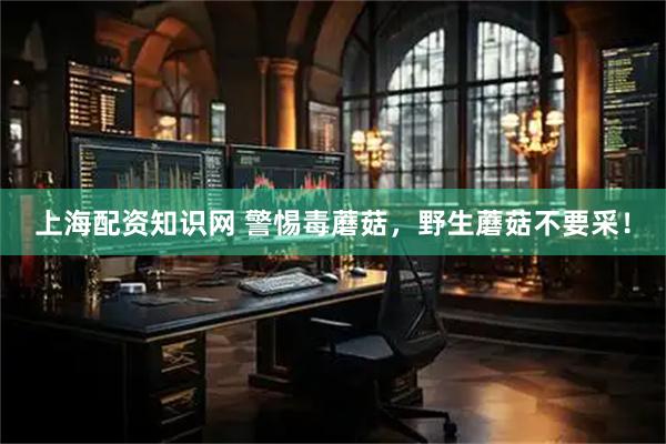 上海配资知识网 警惕毒蘑菇，野生蘑菇不要采！